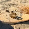 Bague Spirale Solaire artisanale en or vegetal Capim Dourado - Or Sauvage