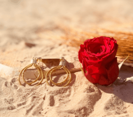 Créoles "Volute Solaire" – Boucles d'Oreilles en Or Végétal