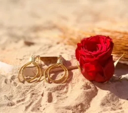 Créoles "Volute Solaire" – Boucles d'Oreilles en Or Végétal